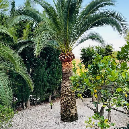Villa Almoradi - Beautiful With Private Pool Moraira Benitachell
